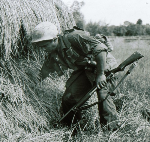 A sergeant of the 1st Battalion, 27th Infantry, 25th Infantry Division carries a 12-gauge pump-action shotgun whilst checking a haystack for concealed enemy weapons.