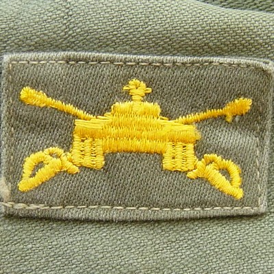 Colour Armour - Branch of Service Insignia.