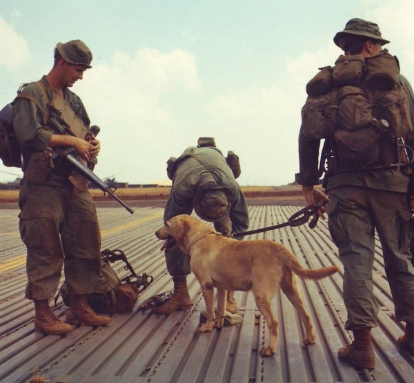 A tracker team from the 4th Inf.