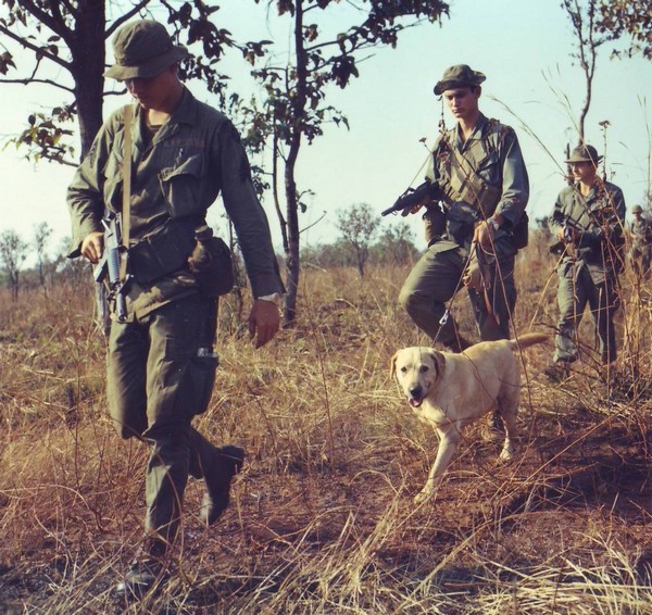 A combat tracker team from the 4th Inf.